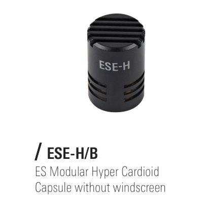ESE-H.png