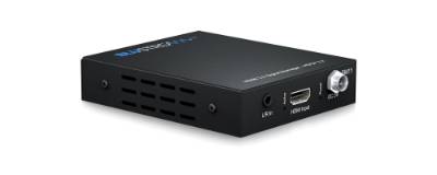 SM11_BACK_LEFT_45_WEB.jpg