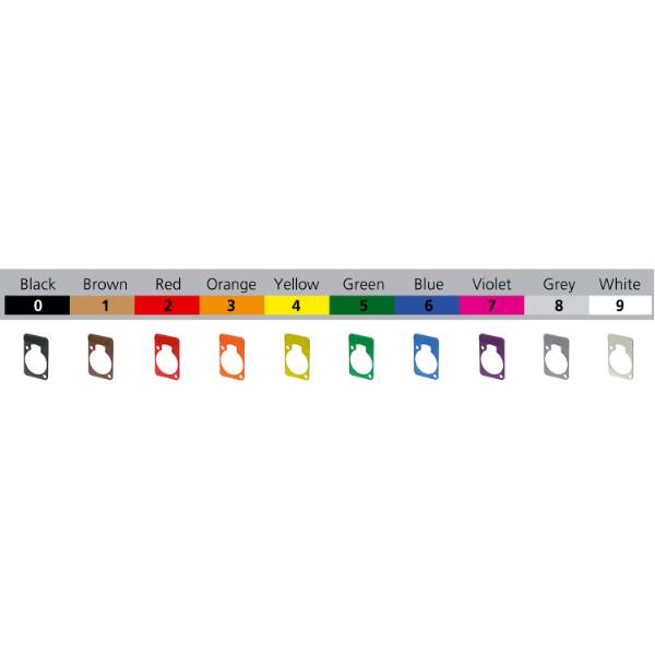 Color---DSS-E.jpg